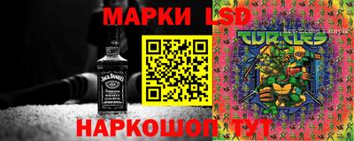ГАЛЛЮЦИНОГЕННЫЕ ГРИБЫ Тула