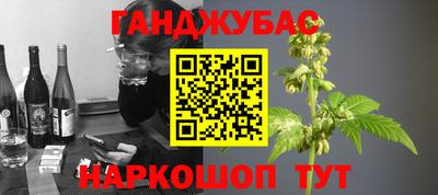 шишки Тулун