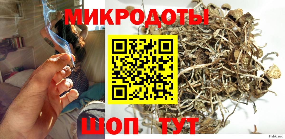Назрань  как найти закладки  Вход с VPN  Псилоцибиновые грибы Cubensis 