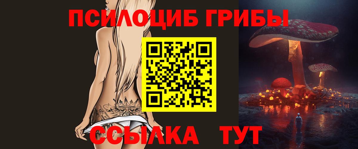 Галлюциногенные грибы Cubensis Назрань